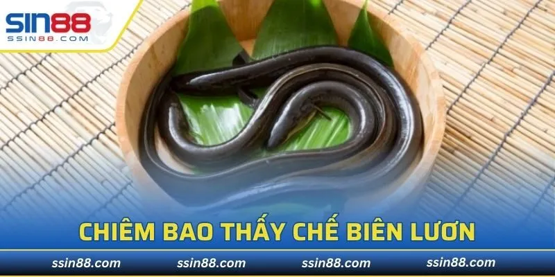Chiêm bao thấy chế biên Lươn